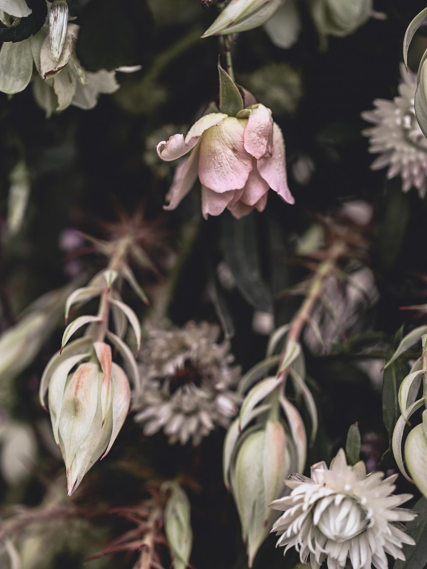 Wildstyler Wedding Flowers