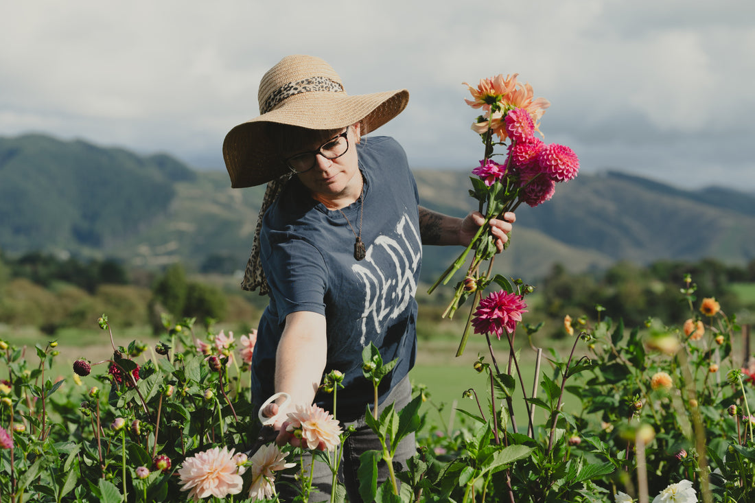 Feral Flower Farm Featured in Manawatu Farming Lifestyles | Part Two | May 2026