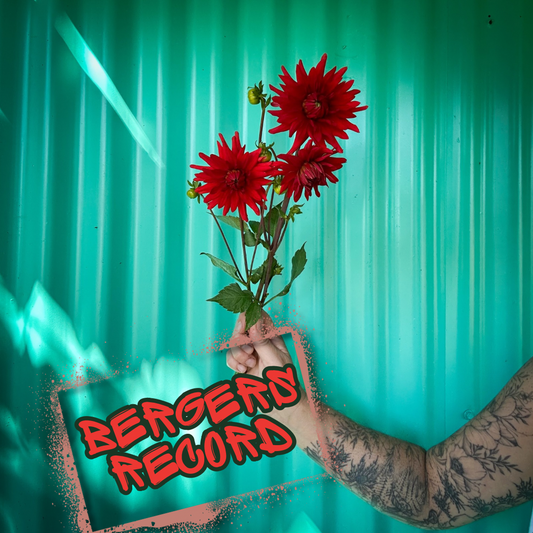 Bergers Record Dahlia Tuber