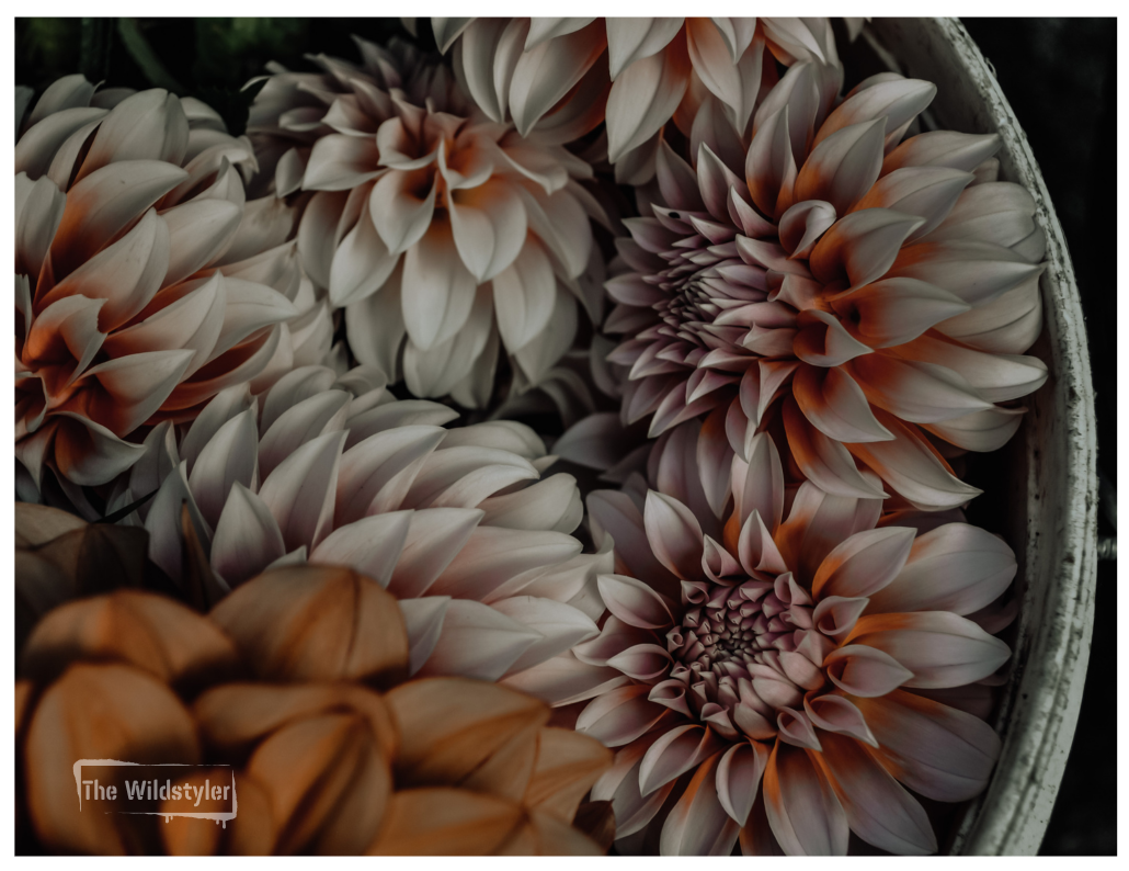 The Wildstyler NZ Floral Photography Greeting Card