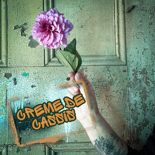 Creme de Cassis Dahlia Tuber