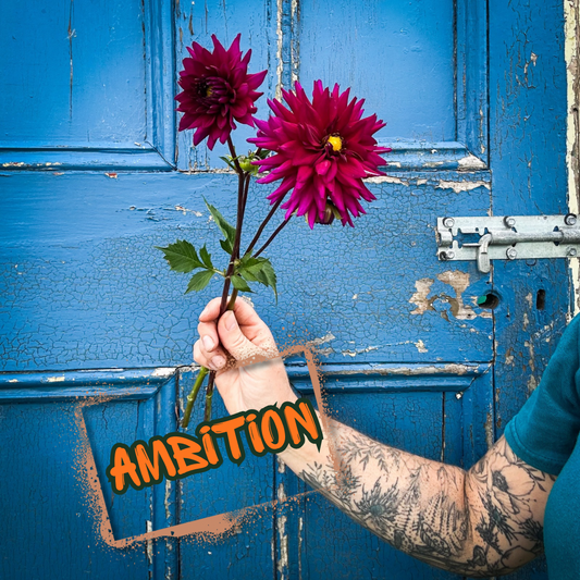 Ambition Dahlia Tuber