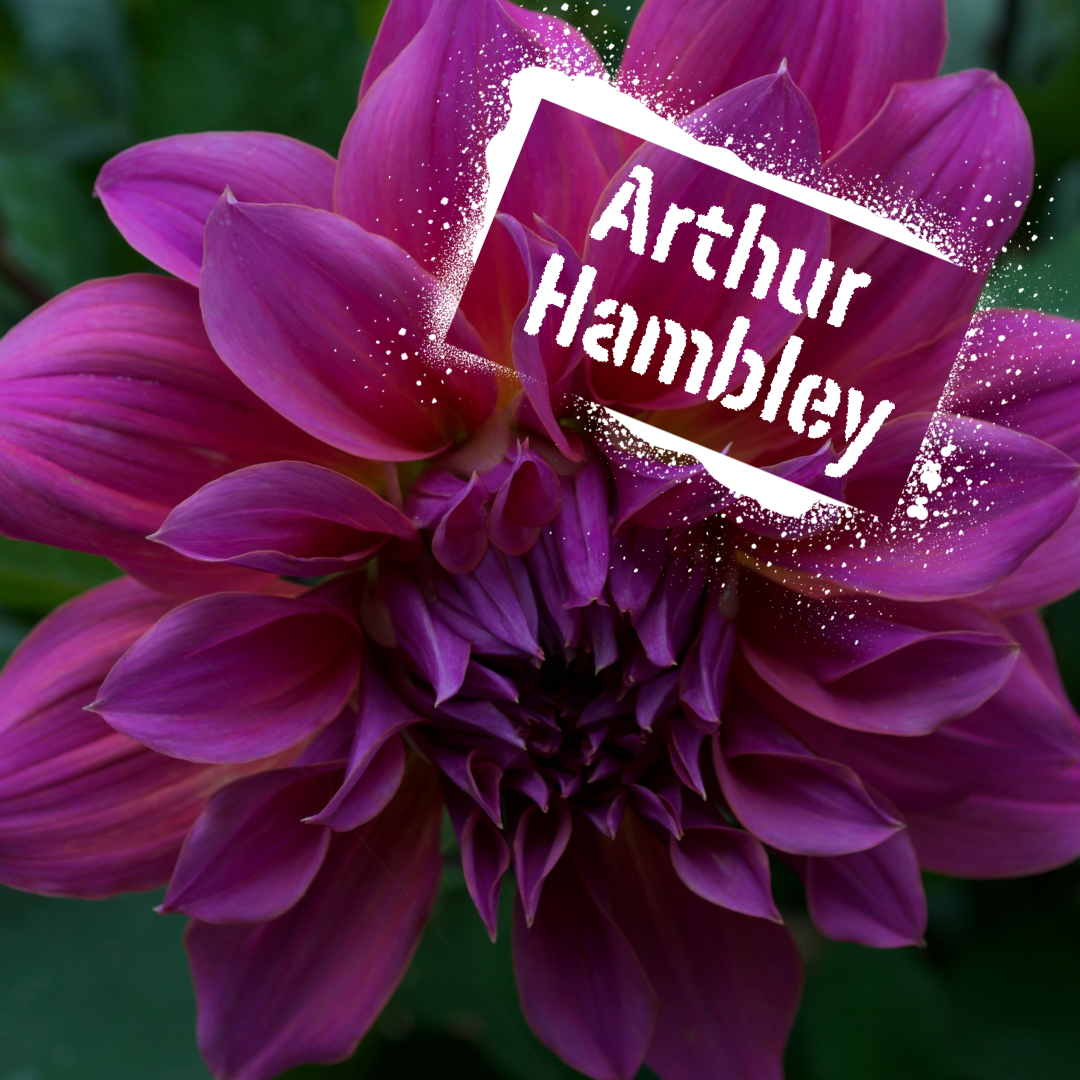 Arthur Hambley