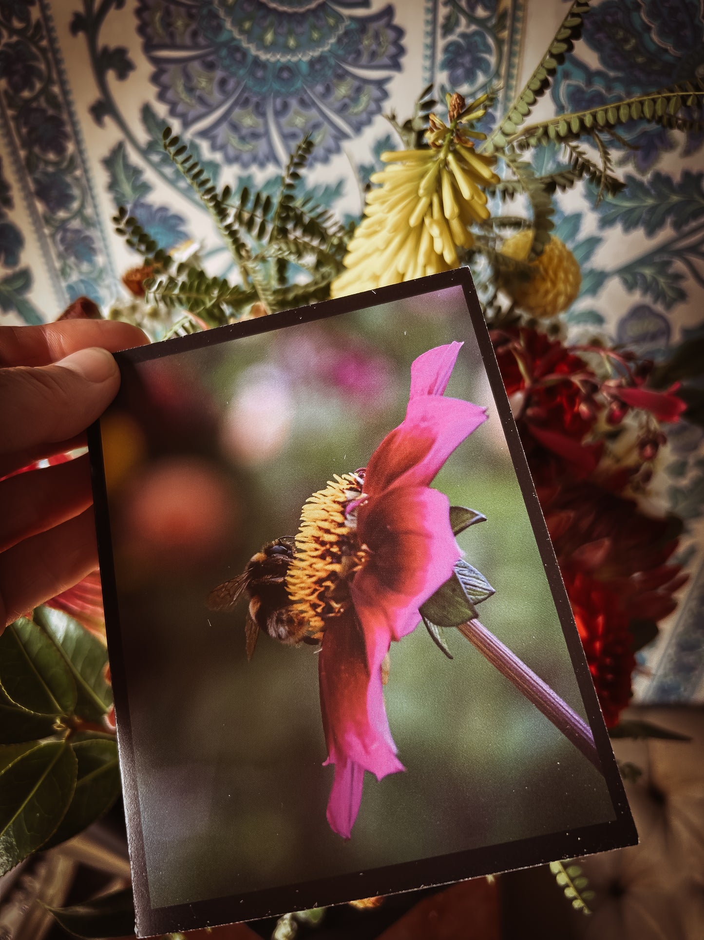 Feral Farm Folded Note Card & Envelope - for pick up and delivery