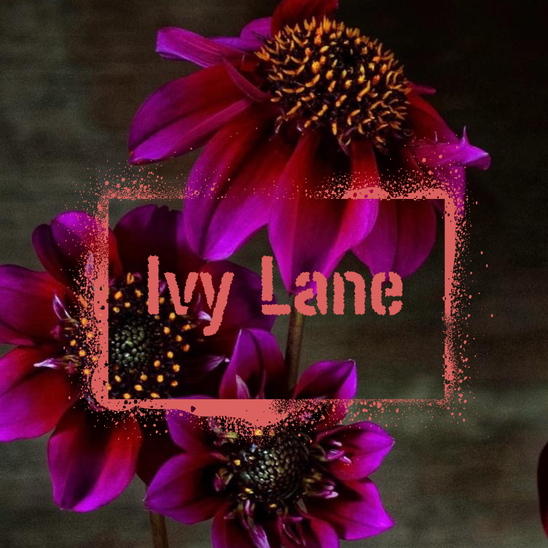 Wildstyler Ivy Lane