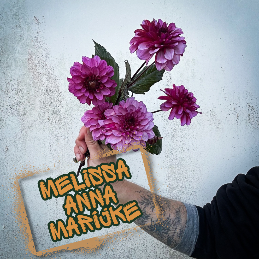 Melissa Anna Marijke Dahlia Tuber