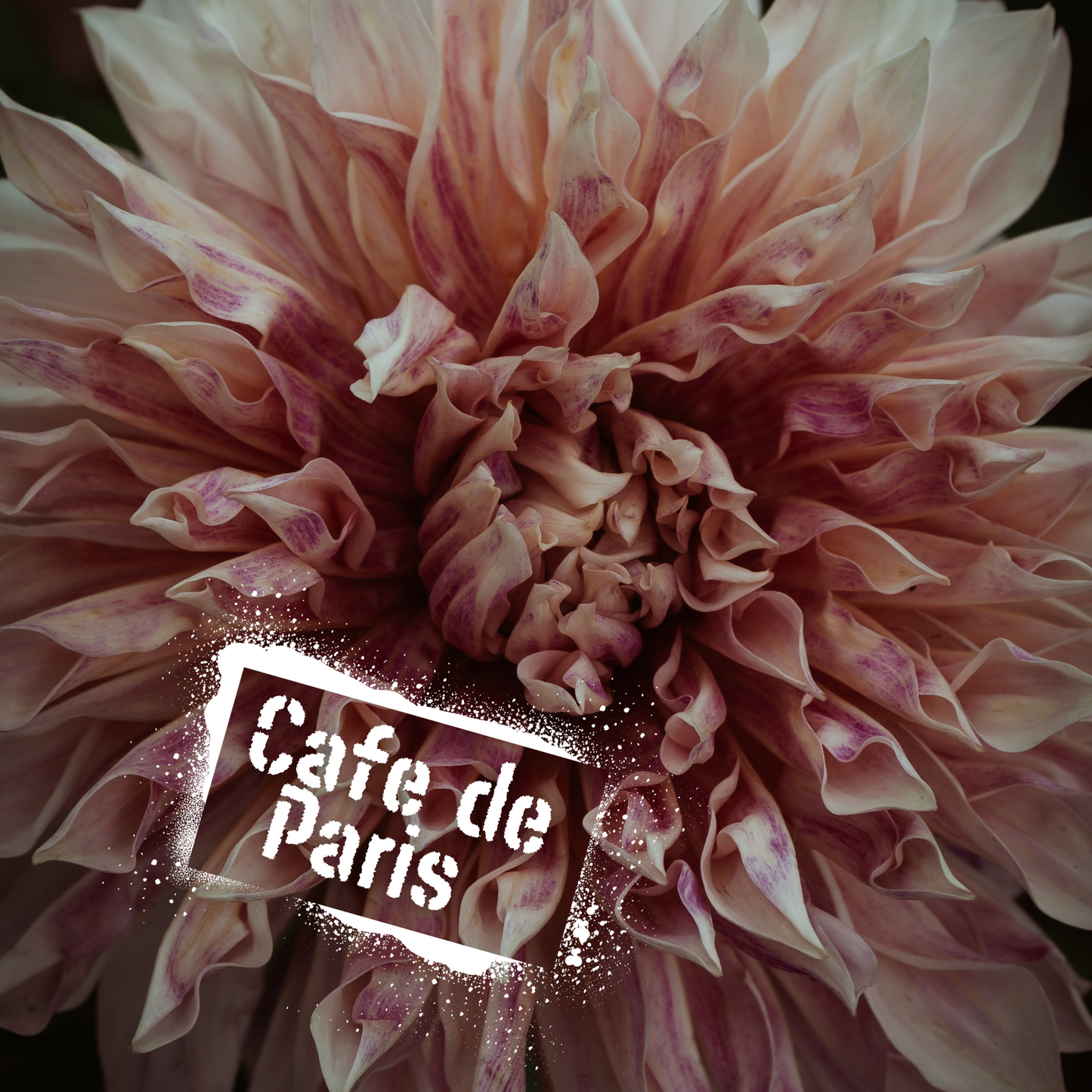 Cafe de Paris