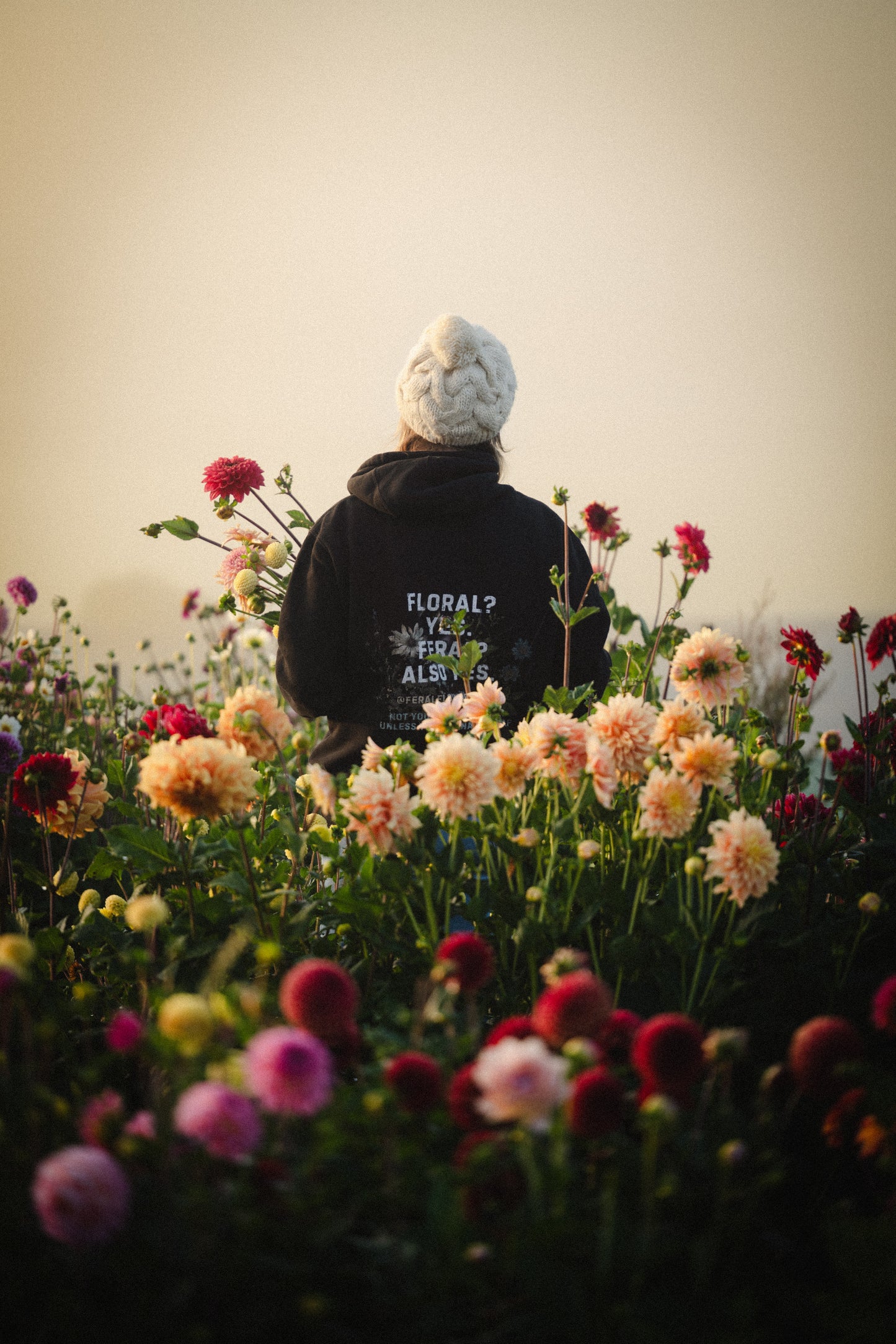 Wildstyler Dahlia Seeds