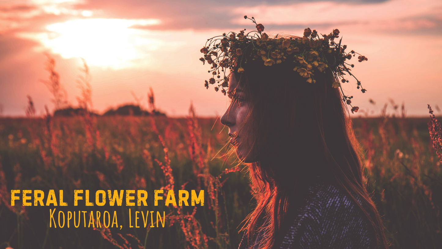 Feral Flower Farm Experience - Feral Flower Crowns for Queens who DGAF. Sunday 2nd March, 3pm