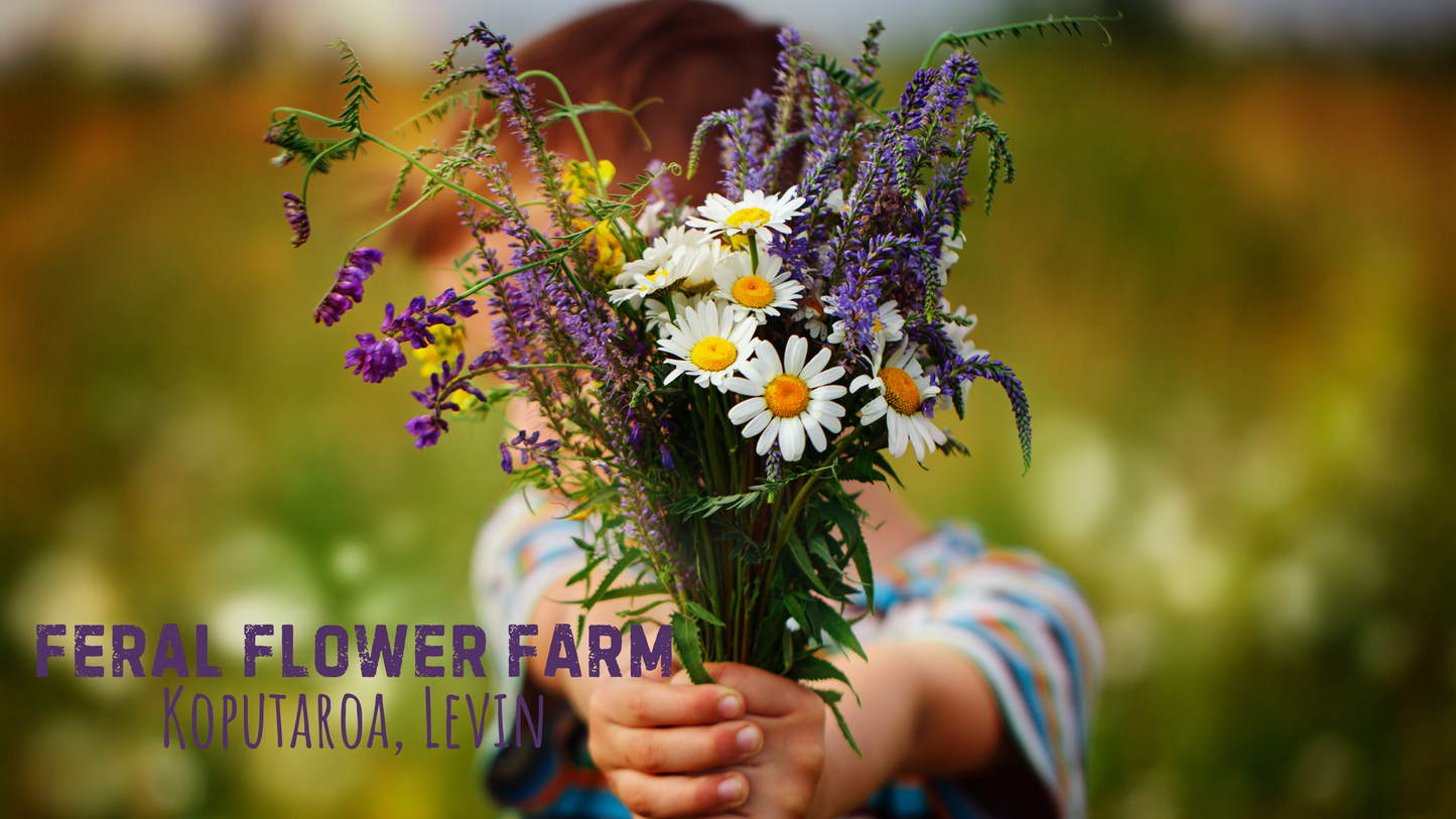 Feral Flower Farm Experience - Make Mum a Mother's Day Posy. Saturday May 10th. 10am.